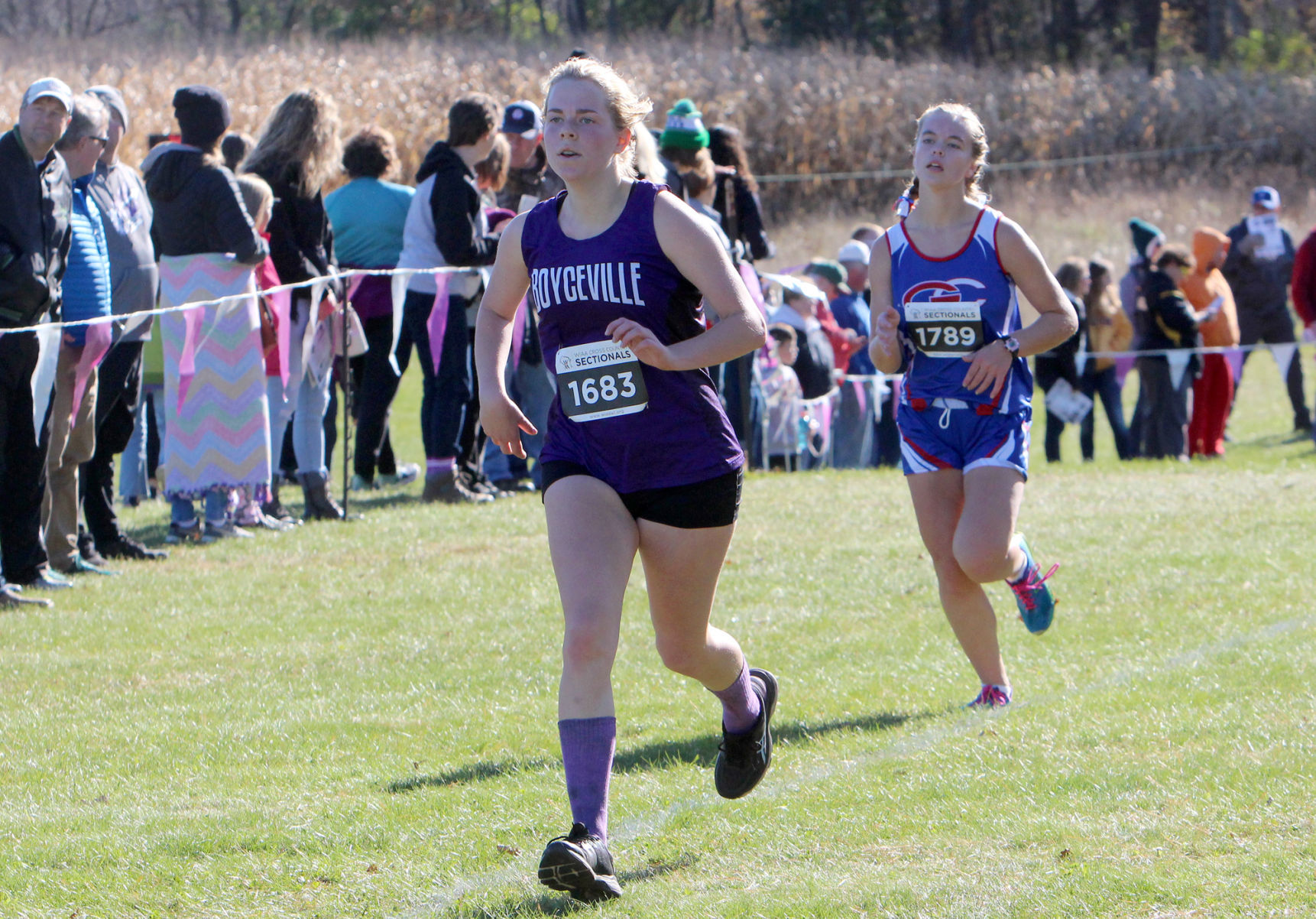 Division 3 Cross Country Sectionals in Boyceville 10-26-19